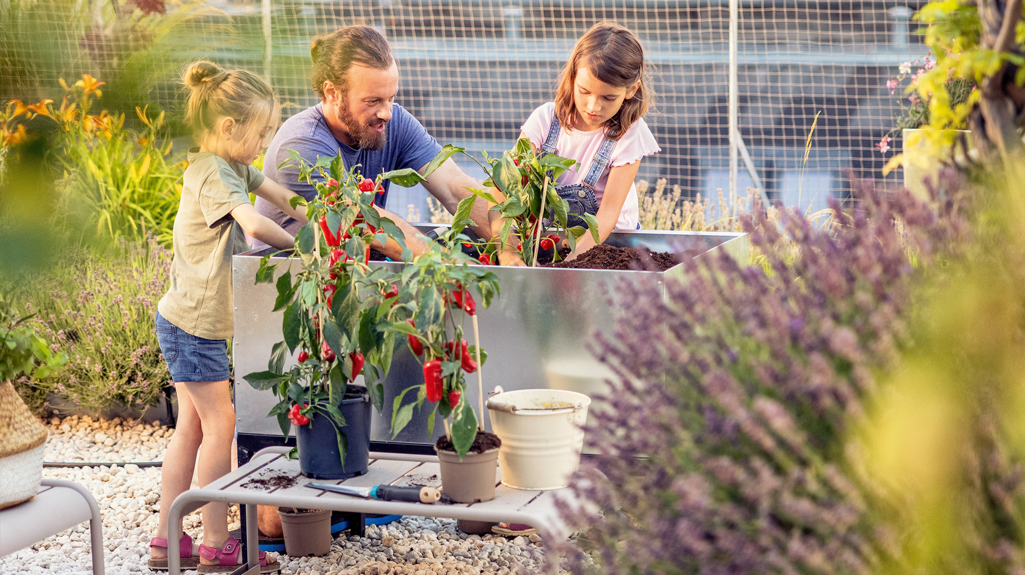 Tipps zu Urban Gardening